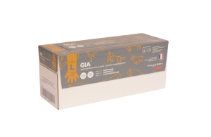 Gants (paquet de 100)