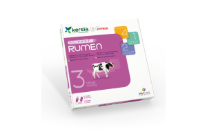 Bolifast Rumen (12 stuks)