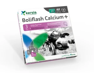 Boliflash Calcium + (12 stuks)